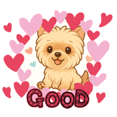 [LINEスタンプ] 『チョコちゃん』スタンプ