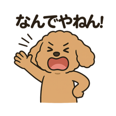 [LINEスタンプ] 関西弁トイプードルスタンプ♡ツッコミ系♡