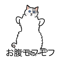 [LINEスタンプ] 猫あるある（ぶち猫（白灰）／長毛）