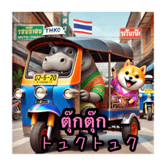 [LINEスタンプ] 豆柴の日本語とタイ語のあいさつ3