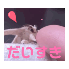 [LINEスタンプ] 動くカイコちゃんスタンプ①