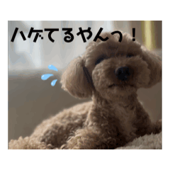 [LINEスタンプ] ぷ〜失礼な言葉