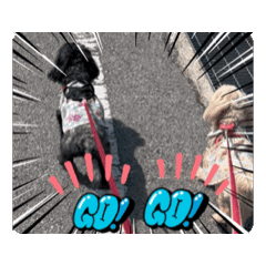 [LINEスタンプ] まきすみと