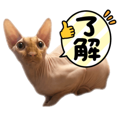 [LINEスタンプ] 桃乃助PART2