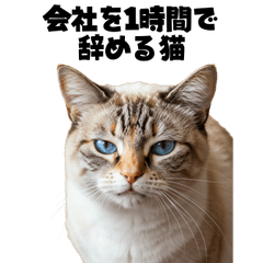 [LINEスタンプ] 会社を入社1時間で辞める猫