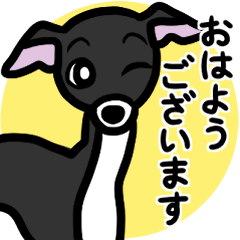 [LINEスタンプ] 【ブラック3】1年中使えるイタグレスタンプ