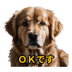 [LINEスタンプ] 犬好きなスタンプ101
