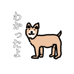 [LINEスタンプ] タロスケくんの素敵すぎるスタンプ 動物編