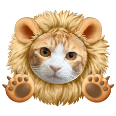 [LINEスタンプ] ニャンニャン兄妹(パート1)