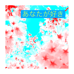 [LINEスタンプ] さくらといっしょに好きを伝えたい