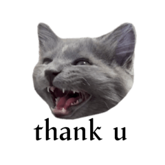 [LINEスタンプ] わさびという猫です