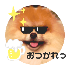 [LINEスタンプ] うずら 気持ち