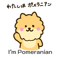 [LINEスタンプ] 「わたしはポメラニアン」
