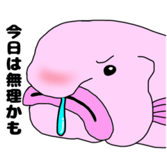[LINEスタンプ] ちょっと元気のないブロブフィッシュ