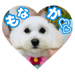 [LINEスタンプ] マルックスもなかのスタンプ【ほどよい】