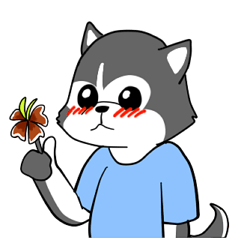 [LINEスタンプ] ハスキーの心からの献身