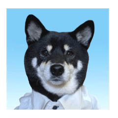 [LINEスタンプ] 散歩拒否犬 どんさん