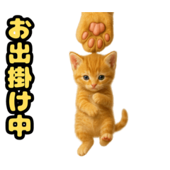 [LINEスタンプ] ❤︎あかにゃん❤︎茶虎.