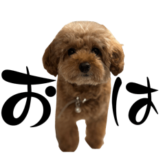 [LINEスタンプ] 癒してレディ