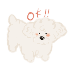 [LINEスタンプ] トイプードル風スタンプ（文字なし）