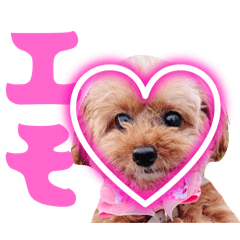 [LINEスタンプ] 可愛く一言レディ