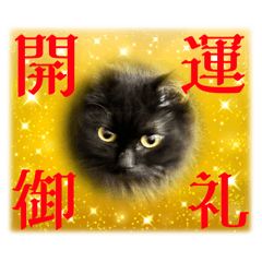 [LINEスタンプ] 黒猫 ルナ院長167にゃんめ