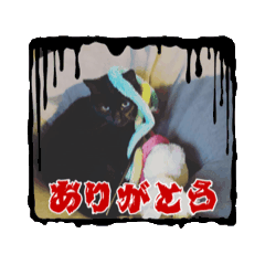[LINEスタンプ] 黒色ペット達の意見