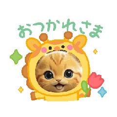 [LINEスタンプ] 素敵な猫ちゃん