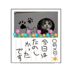 [LINEスタンプ] 猫のスタンプじゃ