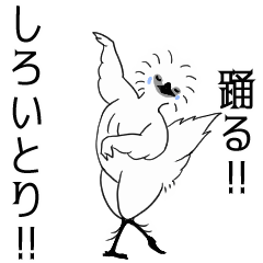 [LINEスタンプ] 動く！なんかしろいとりのバレエ