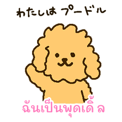 [LINEスタンプ] 「わたしはプードル」(タイ語)