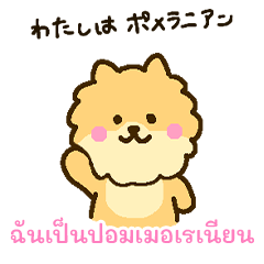 [LINEスタンプ] 「わたしはポメラニアン」(タイ語)