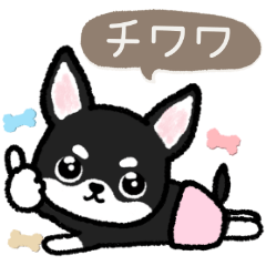 [LINEスタンプ] ブラックタン・チワワ