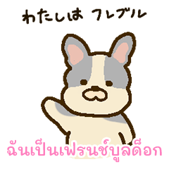 [LINEスタンプ] 「わたしはフレンチブルドッグ」(タイ語)