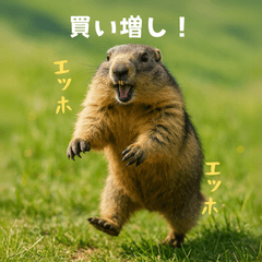 [LINEスタンプ] 個人投資家のマーモット【エッホエッホ！】