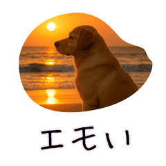 [LINEスタンプ] おもしろ動物たちのクセ強スタンプ(男子用)