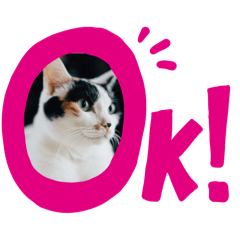 [LINEスタンプ] 一言で伝わる猫スタンプ・その1