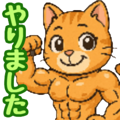 [LINEスタンプ] 敬語で筋肉猫のキュートなマッスルキャット