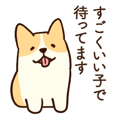 [LINEスタンプ] 人懐こいコーギー(日常会話)