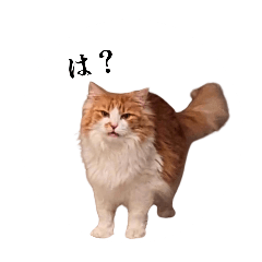 [LINEスタンプ] なーさんの毎日2