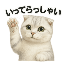 [LINEスタンプ] スコティッシュホールドの挨拶スタンプ