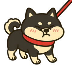 [LINEスタンプ] 散歩に行きたくない黒豆柴