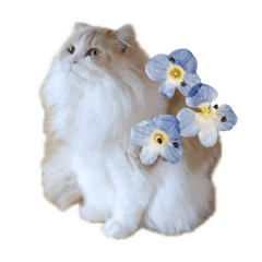 [LINEスタンプ] にゃんずのLINEスタンプ。