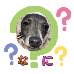 [LINEスタンプ] JILLくんの1日