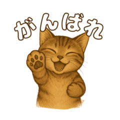 [LINEスタンプ] キジトラの子猫（挨拶編）