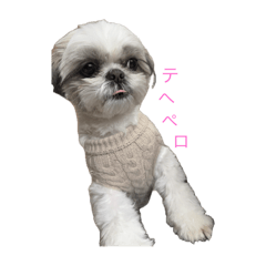 [LINEスタンプ] おこげと笑吉