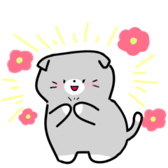 [LINEスタンプ] 毎日かわいいねこさんズ