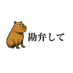 [LINEスタンプ] 不機嫌なカピバラ【煽り、毒舌】