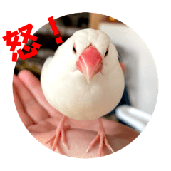 [LINEスタンプ] もちもちつくねスタンプ3