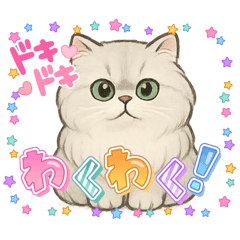 [LINEスタンプ] 『ペルシャ猫』のスタンプ